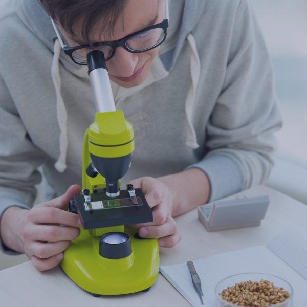 male student looking through microscope