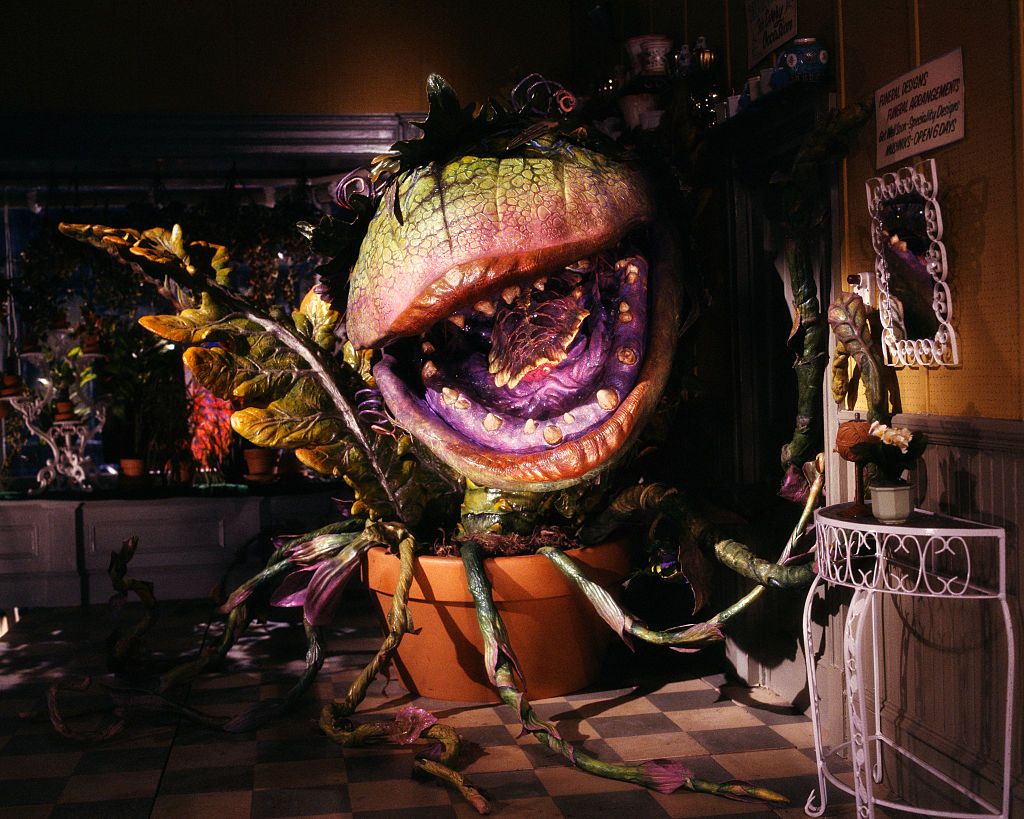 Audrey plant from Little Shop of Horror